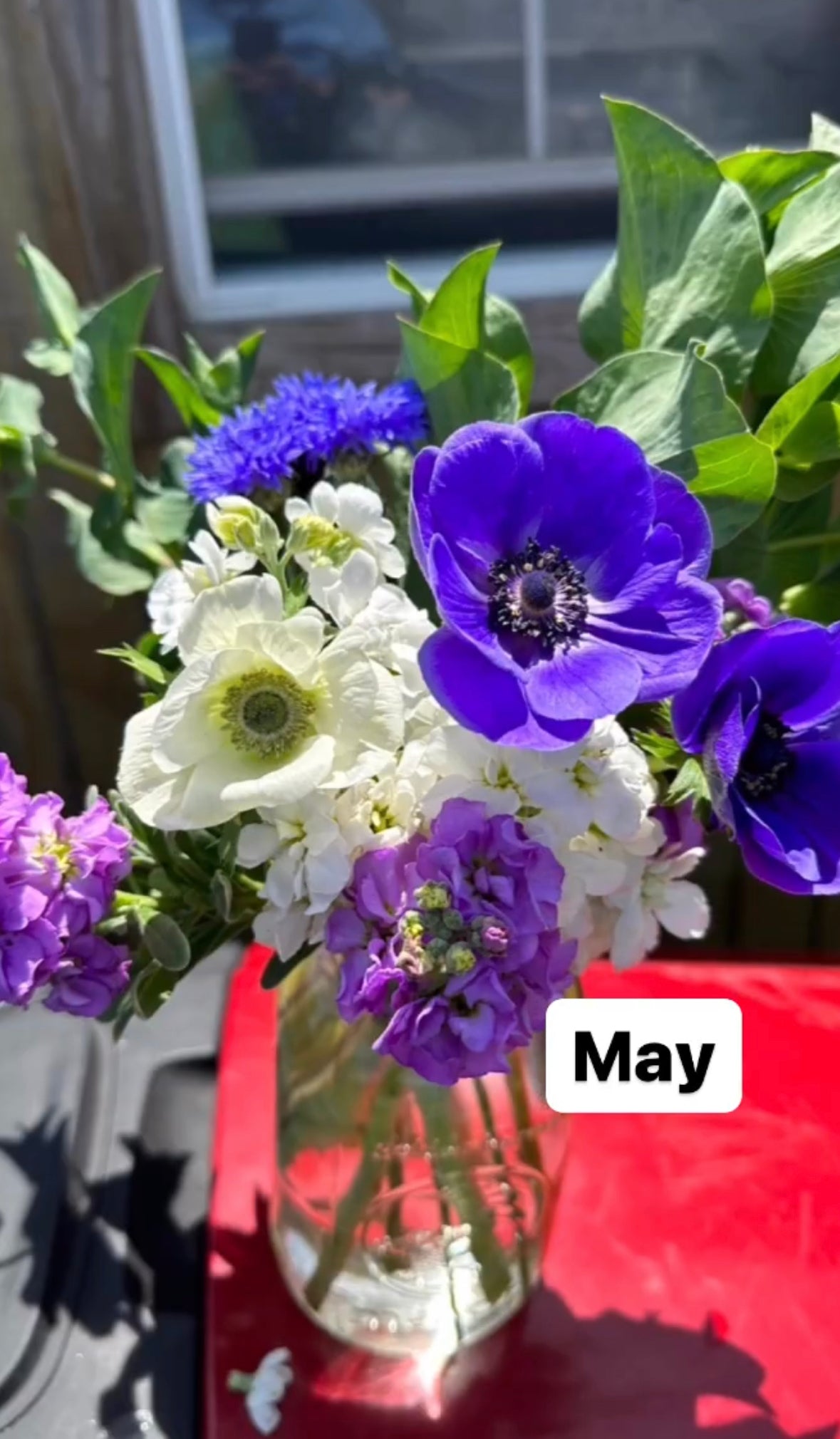 Porch Petals 2024 - Full Season Bouquet Subscription