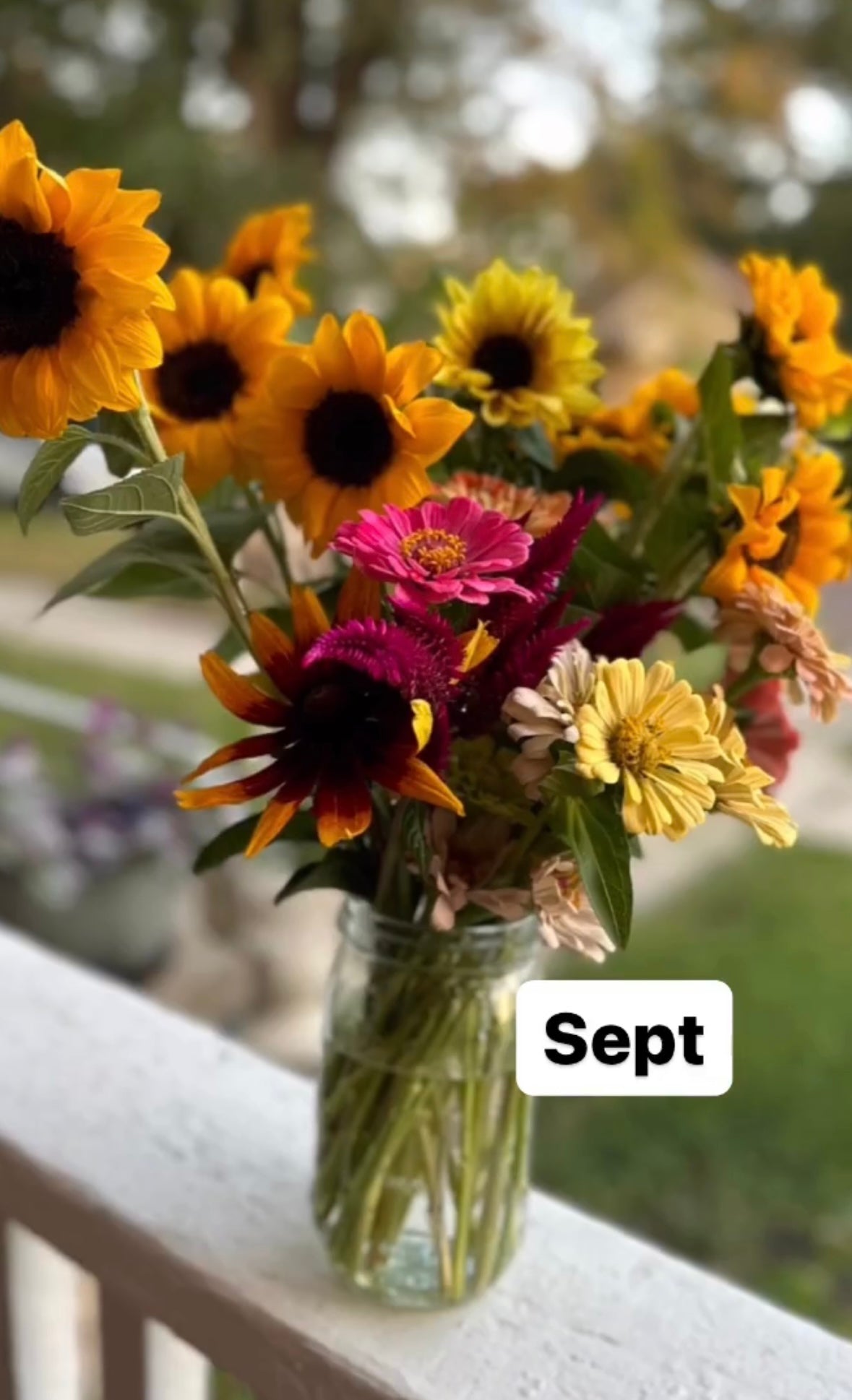 Porch Petals 2024 - Full Season Bouquet Subscription