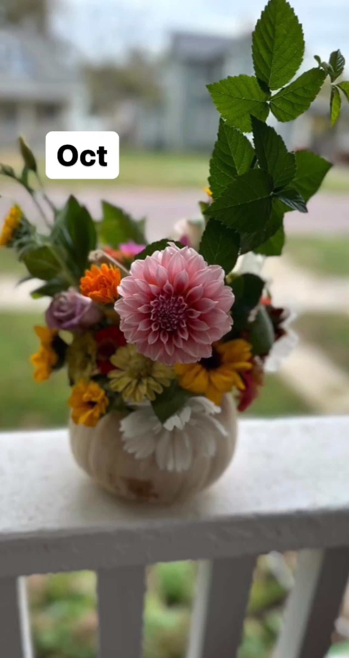 Porch Petals 2024 - Full Season Bouquet Subscription