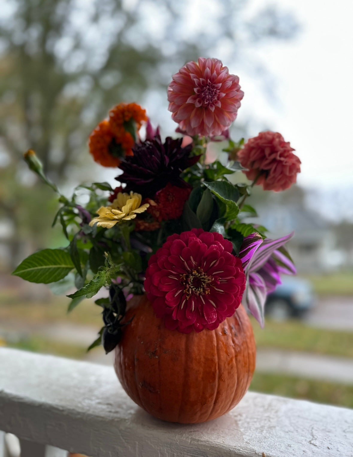 Porch Petals 2024 - Full Season Bouquet Subscription